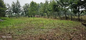1⁄4 Plot for Sale in Cheplasgei Bypass Greenwood Eldoret