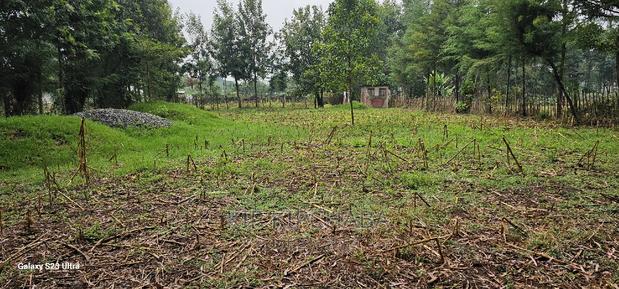 1⁄4 Plot for Sale in Cheplasgei Bypass Greenwood Eldoret - thumbnail 6
