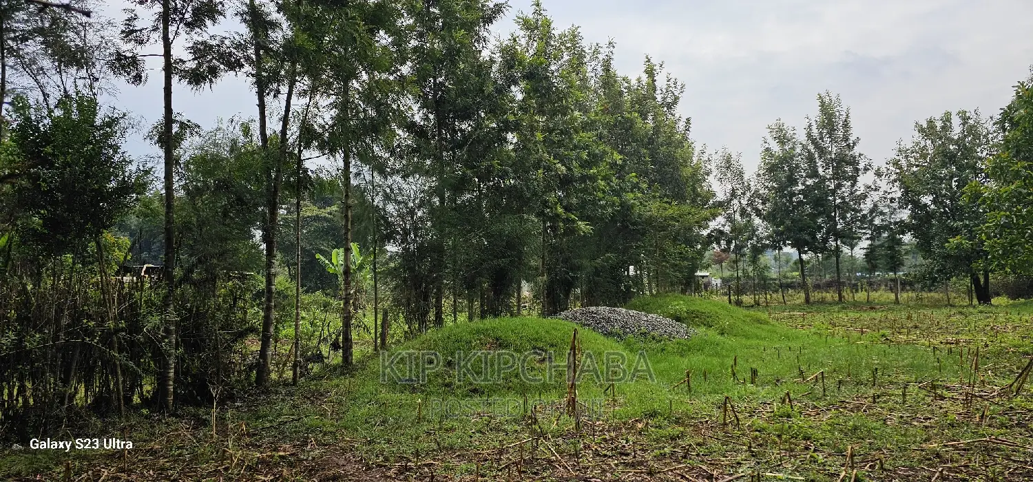 1⁄4 Plot for Sale in Cheplasgei Bypass Greenwood Eldoret