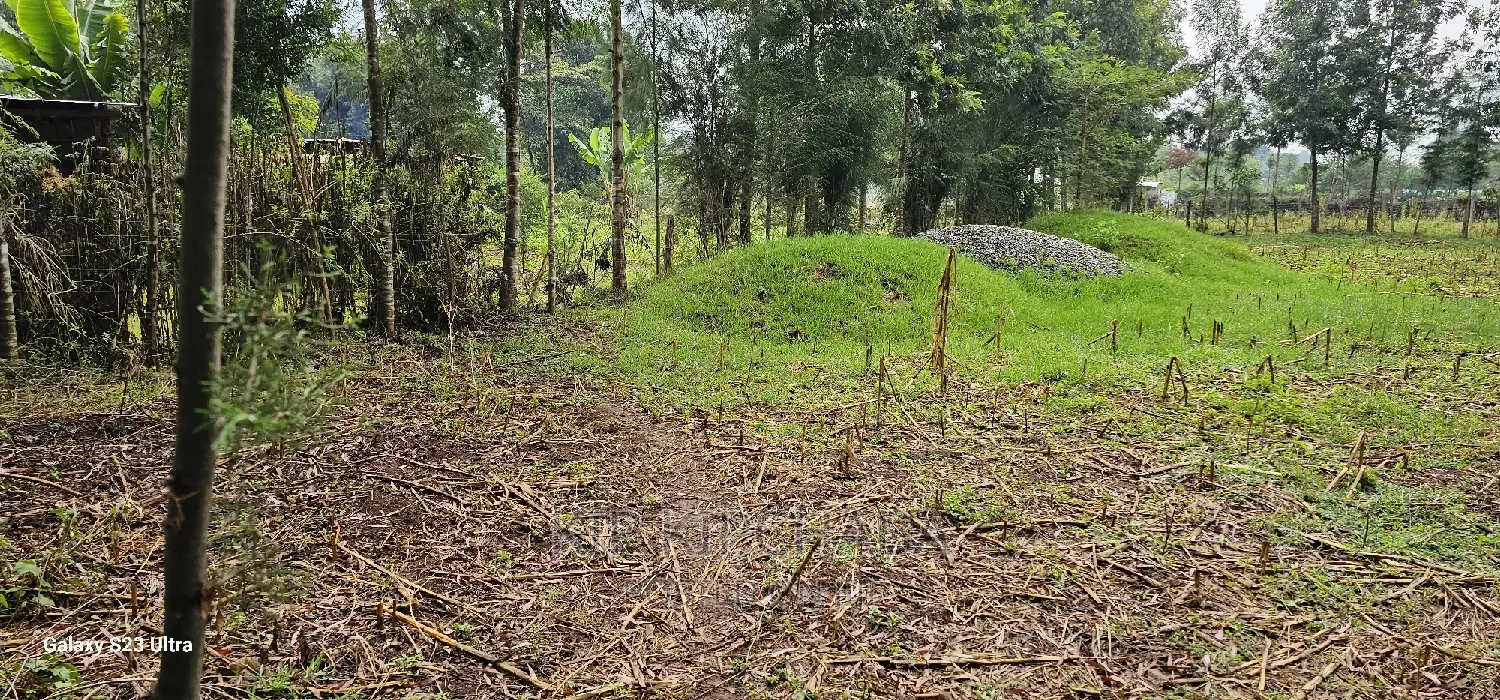 1⁄4 Plot for Sale in Cheplasgei Bypass Greenwood Eldoret
