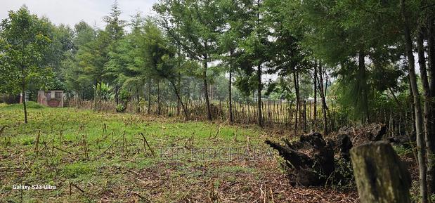 1⁄4 Plot for Sale in Cheplasgei Bypass Greenwood Eldoret - thumbnail 12