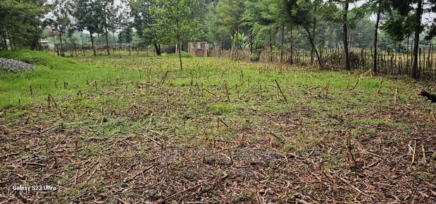 1⁄4 Plot for Sale in Cheplasgei Bypass Greenwood Eldoret - thumbnail 13