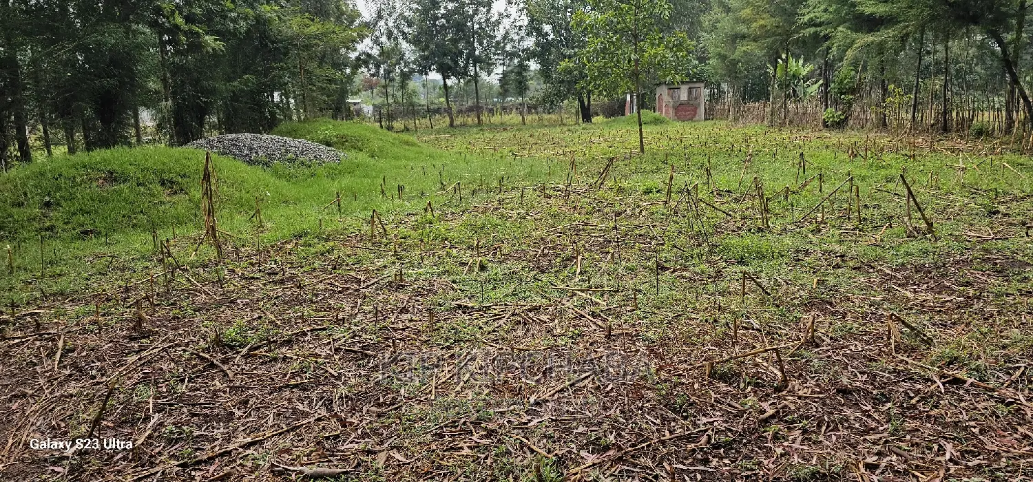 1⁄4 Plot for Sale in Cheplasgei Bypass Greenwood Eldoret