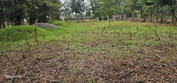 1⁄4 Plot for Sale in Cheplasgei Bypass Greenwood Eldoret - thumbnail 14