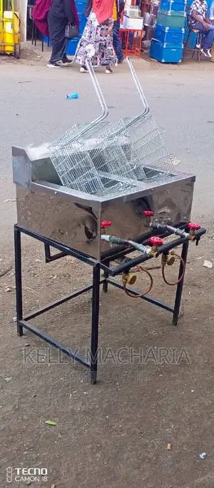 Double Gas Chips Fryers/45