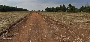 Commercial 1⁄4 Plots for Sale in Annex Eldoret