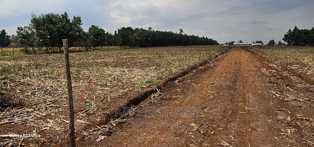 Commercial 1⁄4 Plots for Sale in Annex Eldoret - thumbnail 8