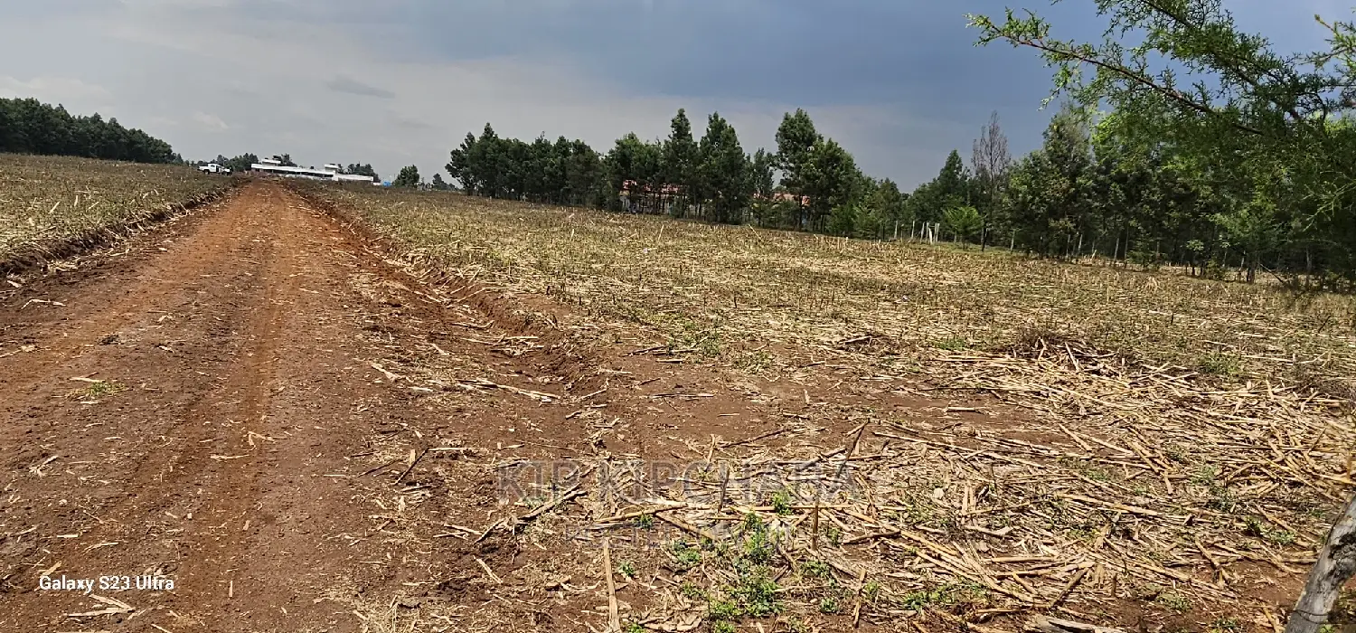Commercial 1⁄4 Plots for Sale in Annex Eldoret