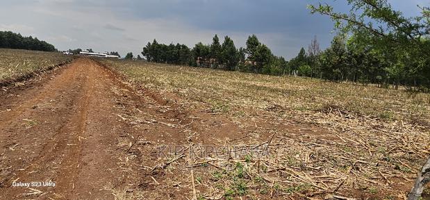 Commercial 1⁄4 Plots for Sale in Annex Eldoret - thumbnail 9