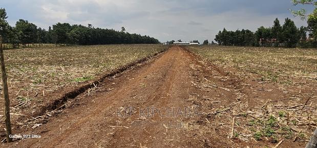 Commercial 1⁄4 Plots for Sale in Annex Eldoret - thumbnail 10