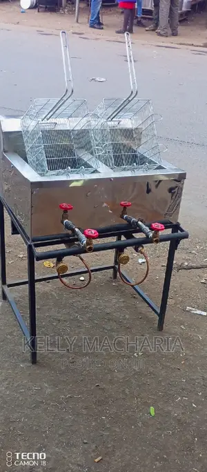 Double Gas Chips Fryers