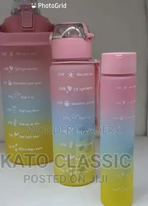 3 in 1 Motivations Water Bottles(With Stickers),