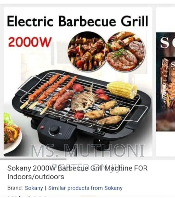 Electric Barbecue Grill