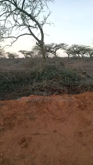 Plot for Sale