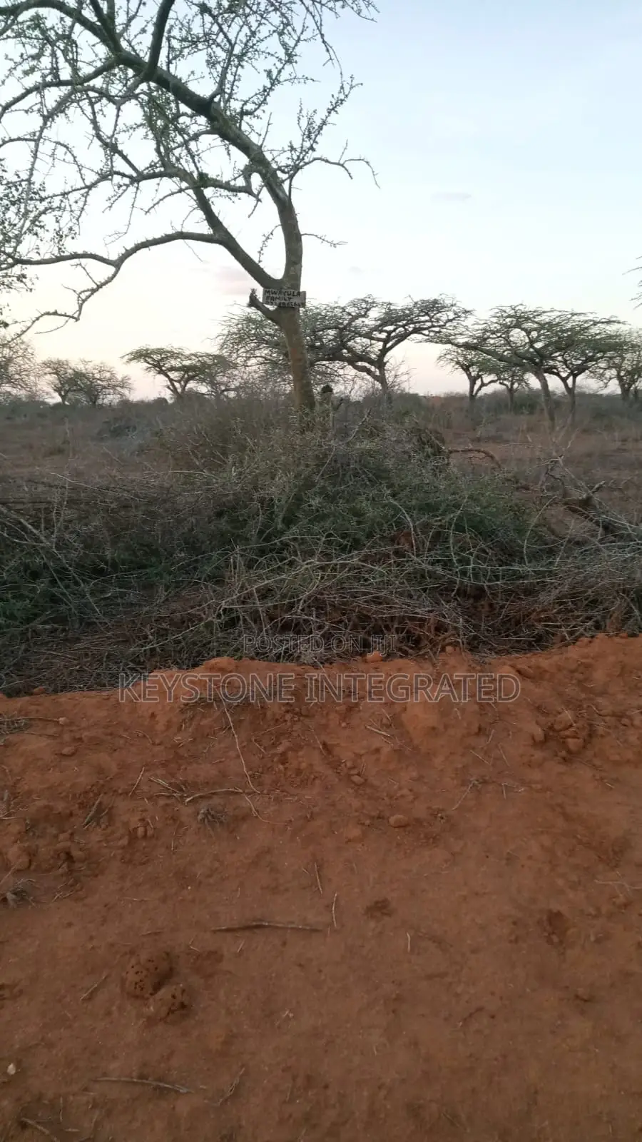 Plot for Sale