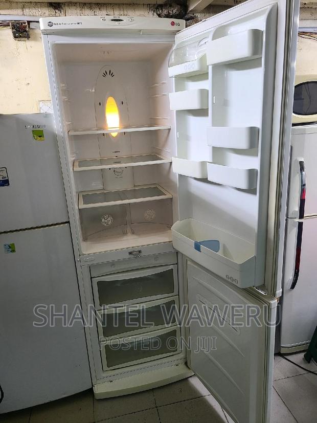 Big Bottom Freezer Fridge - thumbnail 2