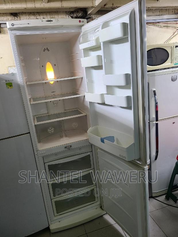 Big Bottom Freezer Fridge - thumbnail 3