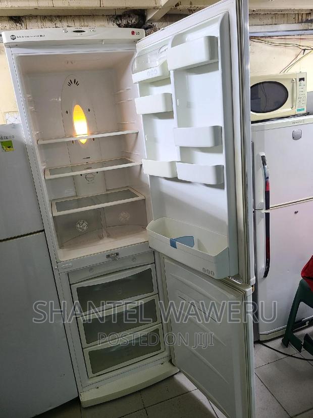 Big Bottom Freezer Fridge - thumbnail 4