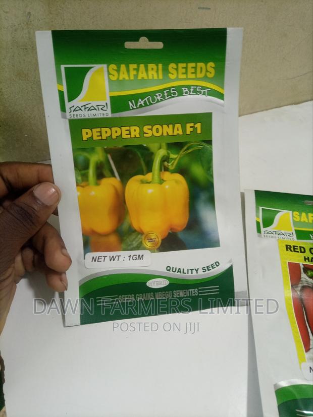 Pepper Sona Fi Capsicum 1gm