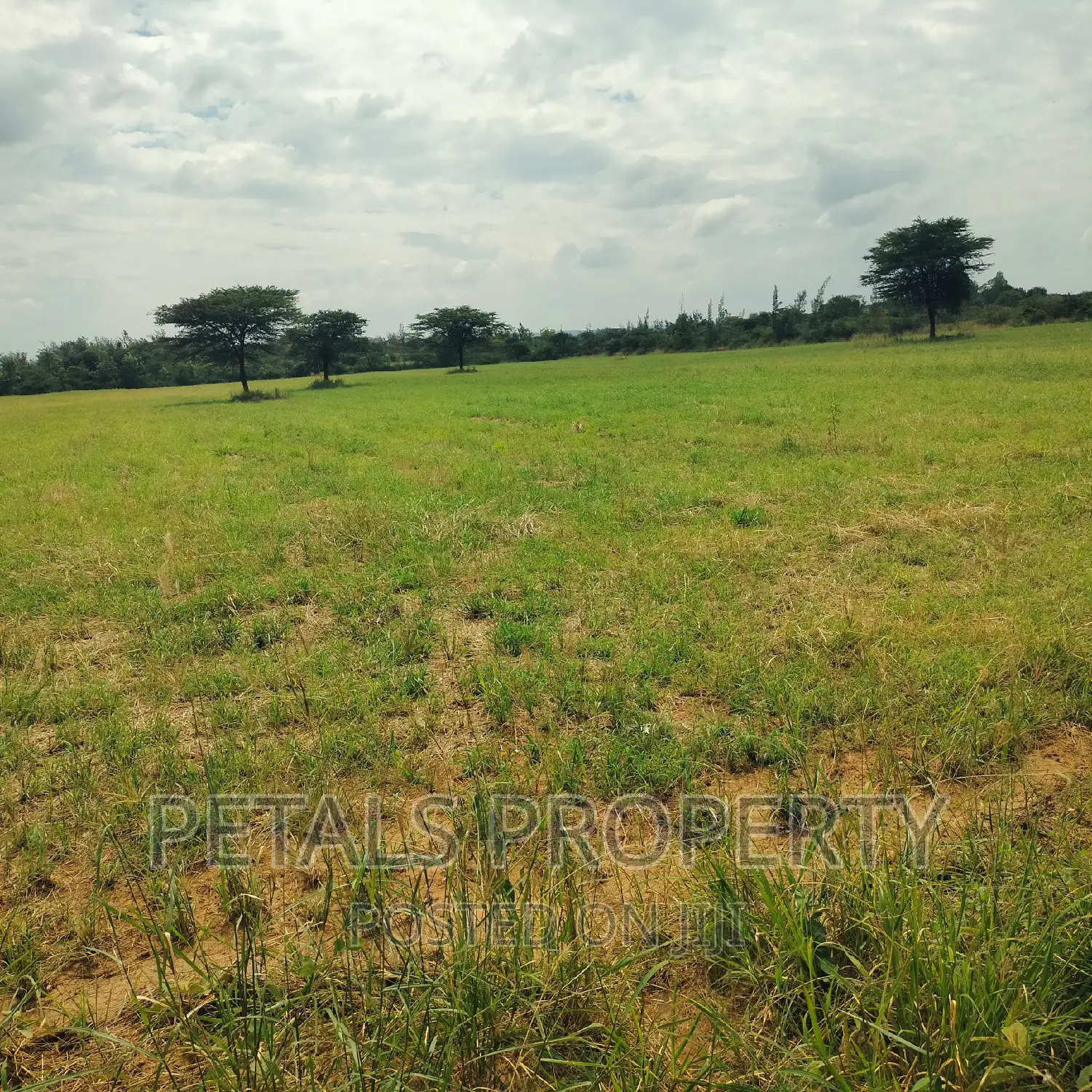 Prime 7.5 Acres for Sale
