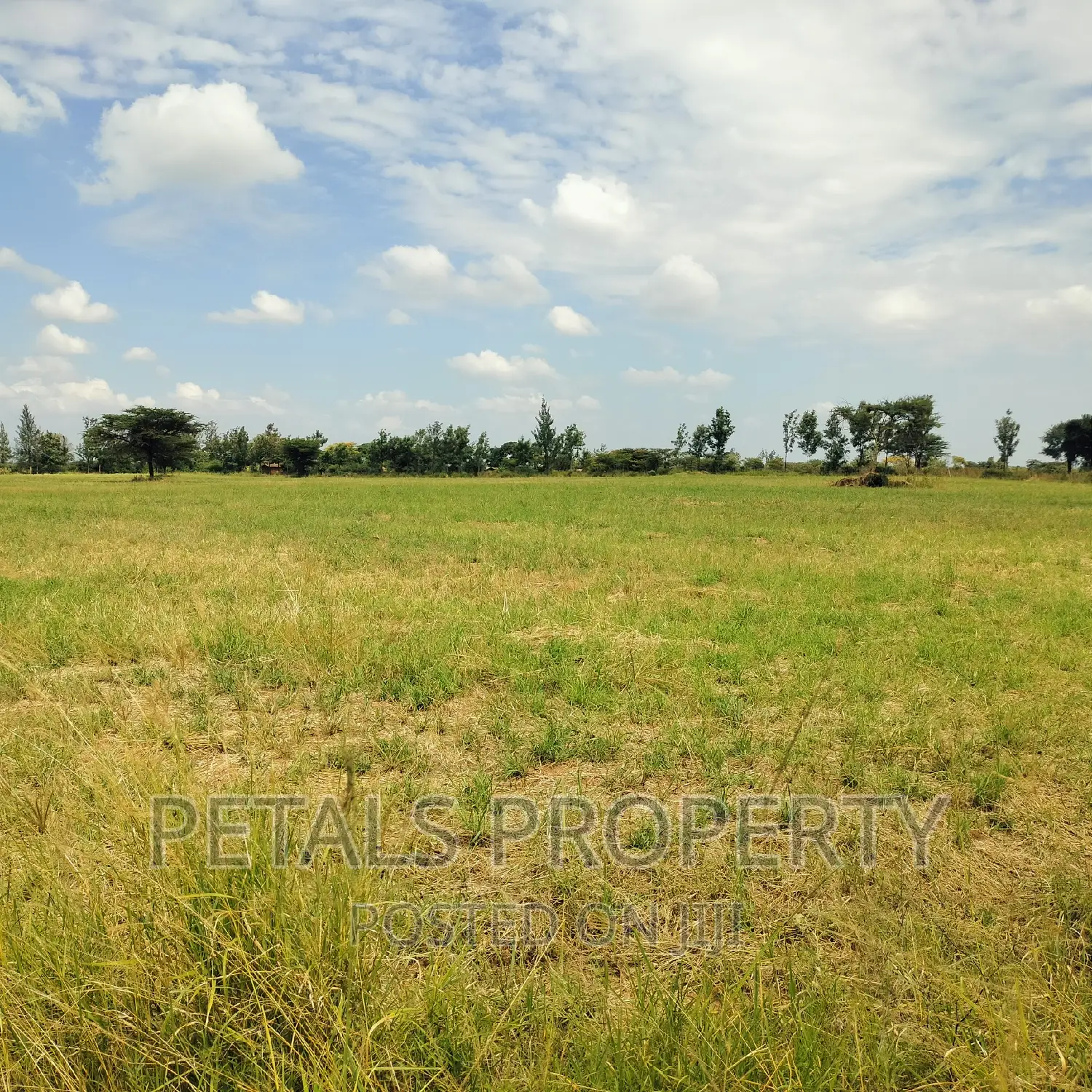 Prime 7.5 Acres for Sale