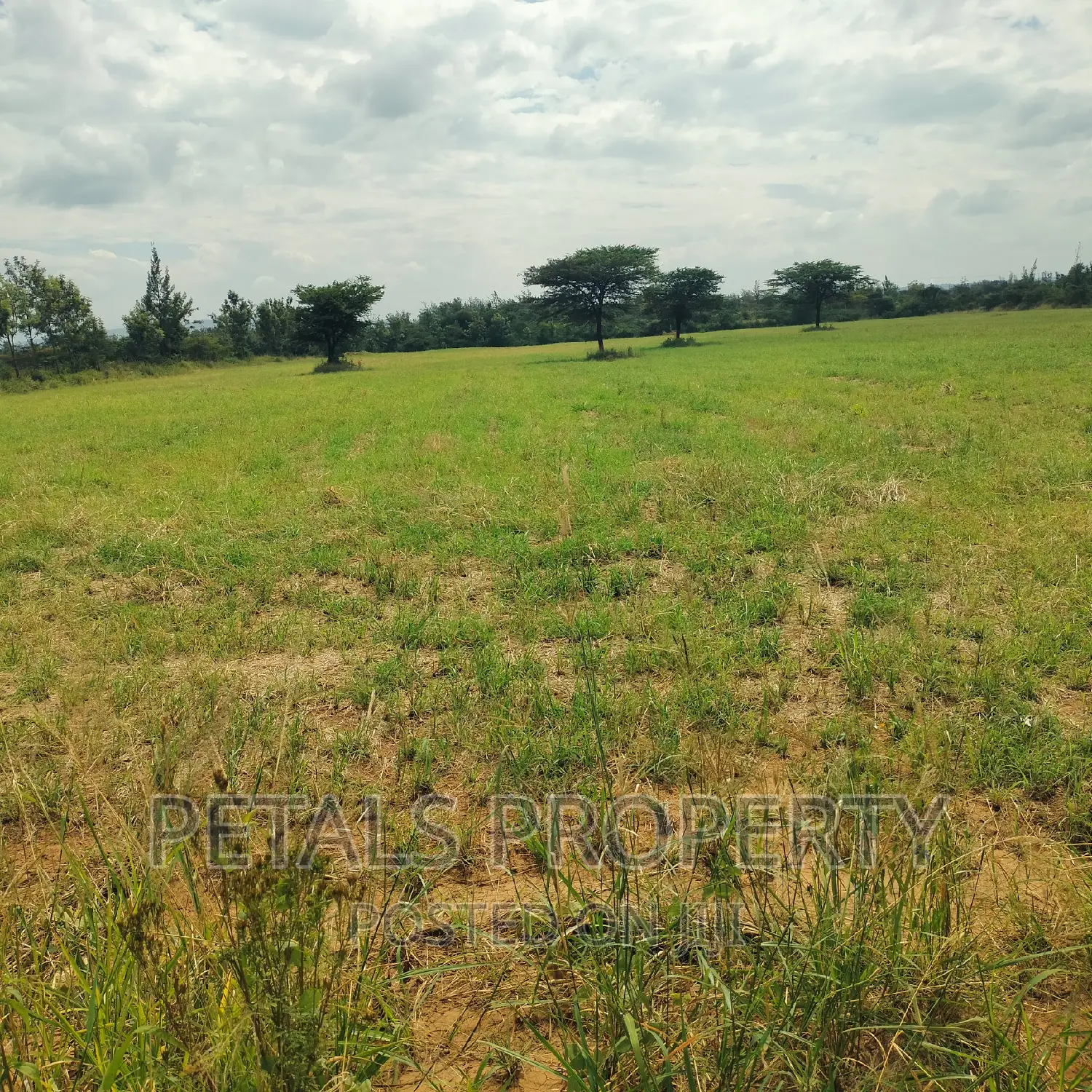 Prime 7.5 Acres for Sale