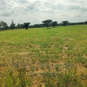 Prime 7.5 Acres for Sale