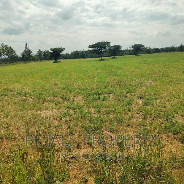 Prime 7.5 Acres for Sale - thumbnail 4
