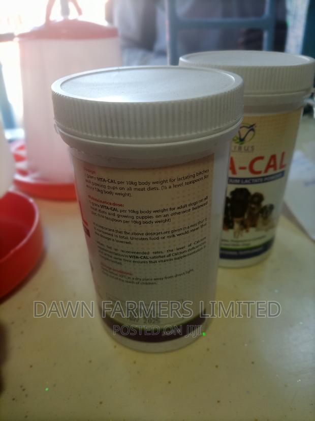 Vita-Cal 200gms , Calcium for Lactate - thumbnail 2