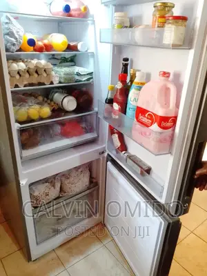 Mirage Fridge Technician Repairs