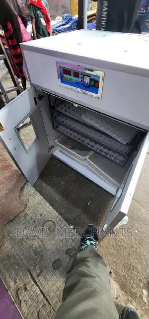 Powerful Incubator of 528 Eggs