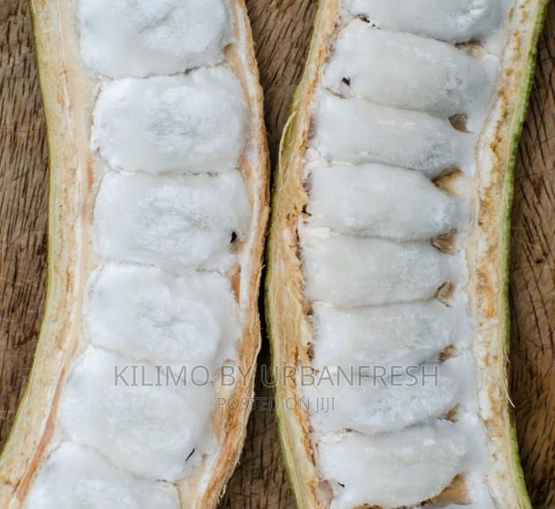 Sweet Icecream Bean Tree Seedlings. - main view