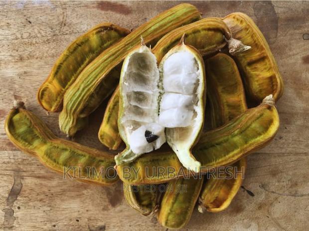 Sweet Icecream Bean Tree Seedlings. - thumbnail 4