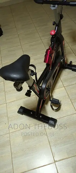 Home Indoor Spin Bike