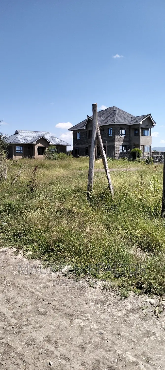 Prime Plots -JOSKA SUNSHINE