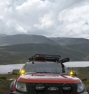 Dual Color Pod Lights