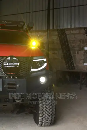 Dual Color Pod Lights