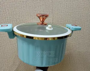 Micro Pressure Cooker Pot - 10L