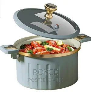 Micro Pressure Cooker Pot - 10L