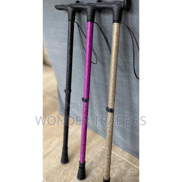 Foldable Walking Stick - main view