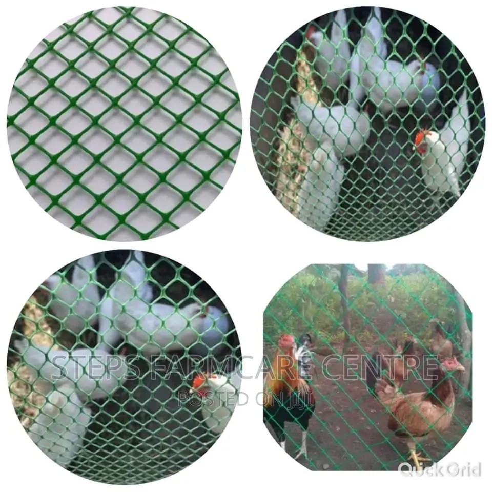 Quality Plastic Green Mesh