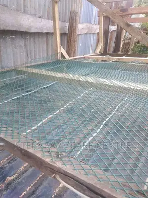Quality Plastic Green Mesh