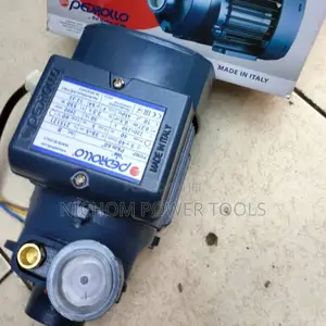 Water Pump Pedrollo