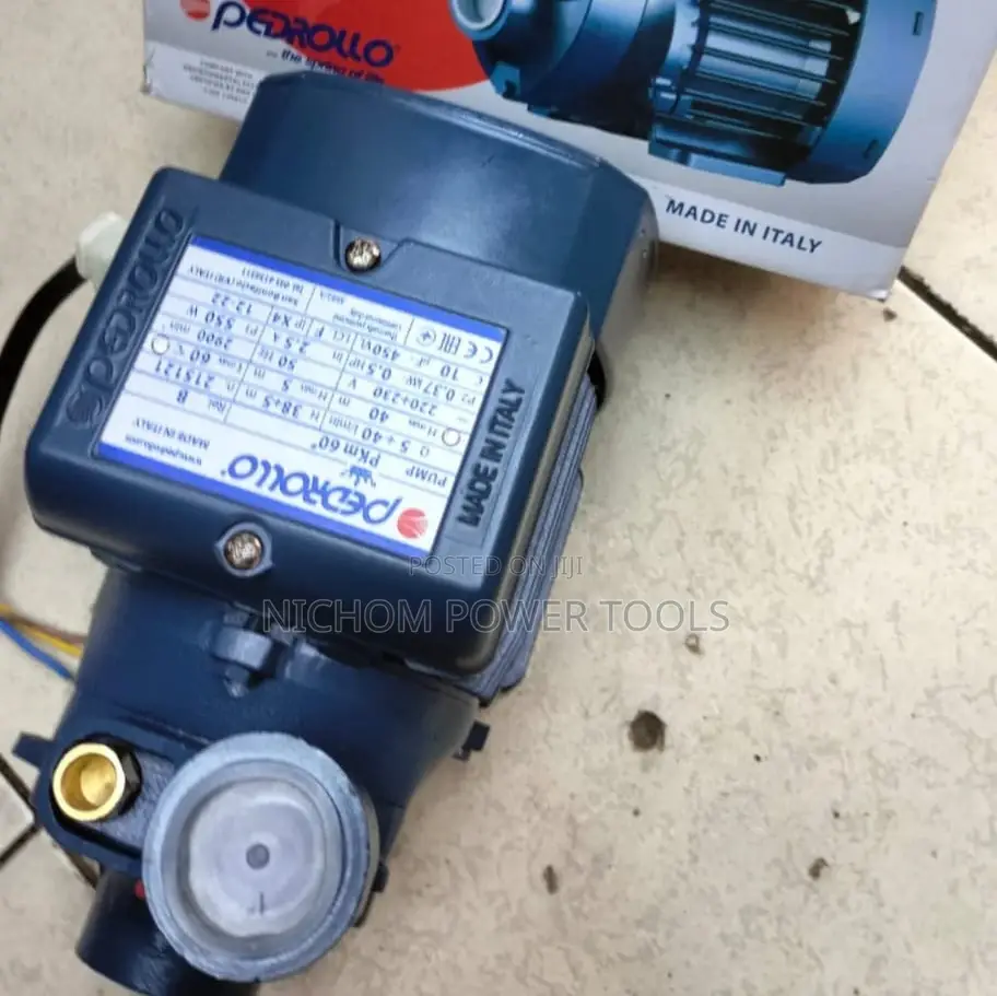 Water Pump Pedrollo
