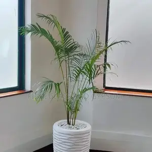 Maggie Fibre Pot