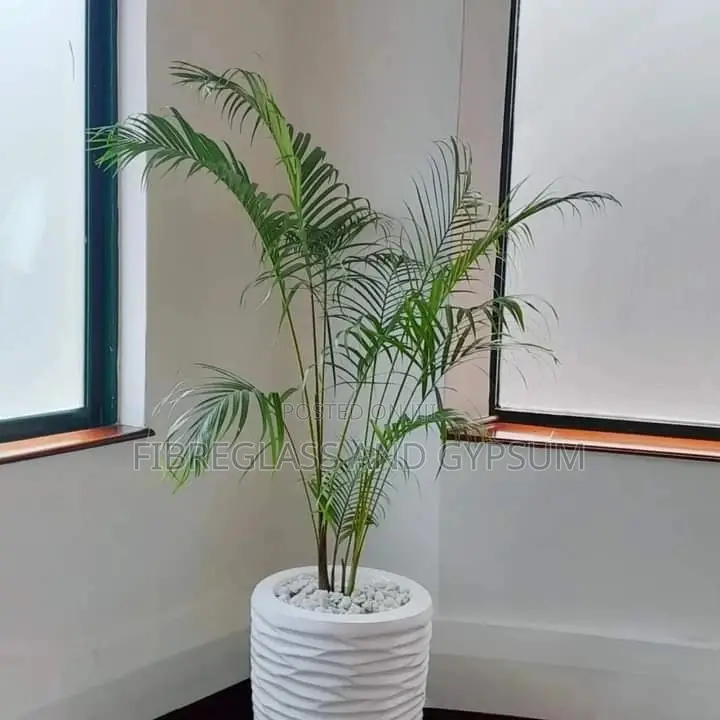 Maggie Fibre Pot