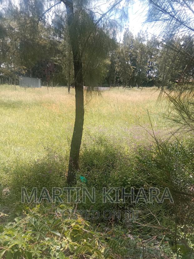 Commercial Plot for Sale - thumbnail 10
