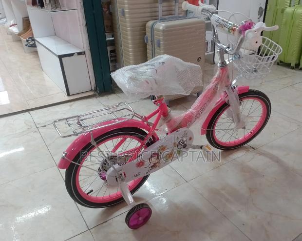Size 16 Kids Bicycles.Pink - main view