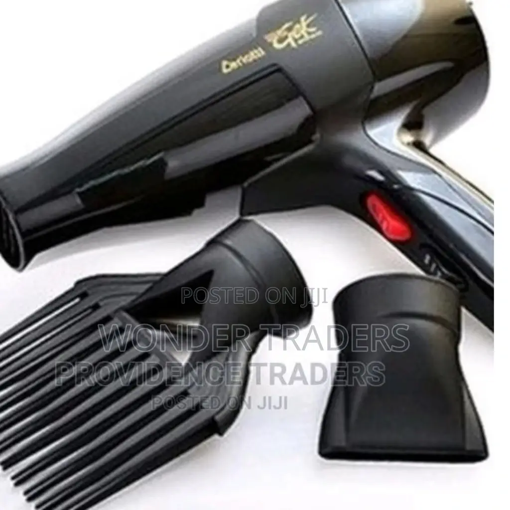 Ceriotti Heavy Duty Hair Dryer