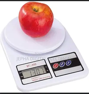 Portable Scale